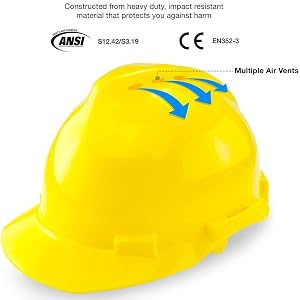 Safety Helmet with Earmuffs