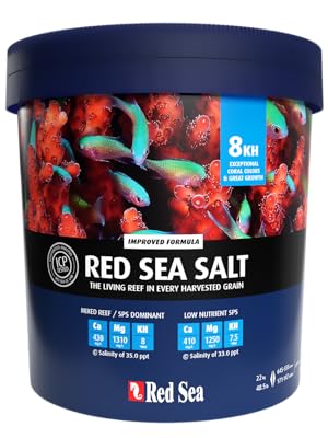 Red Sea Salt
