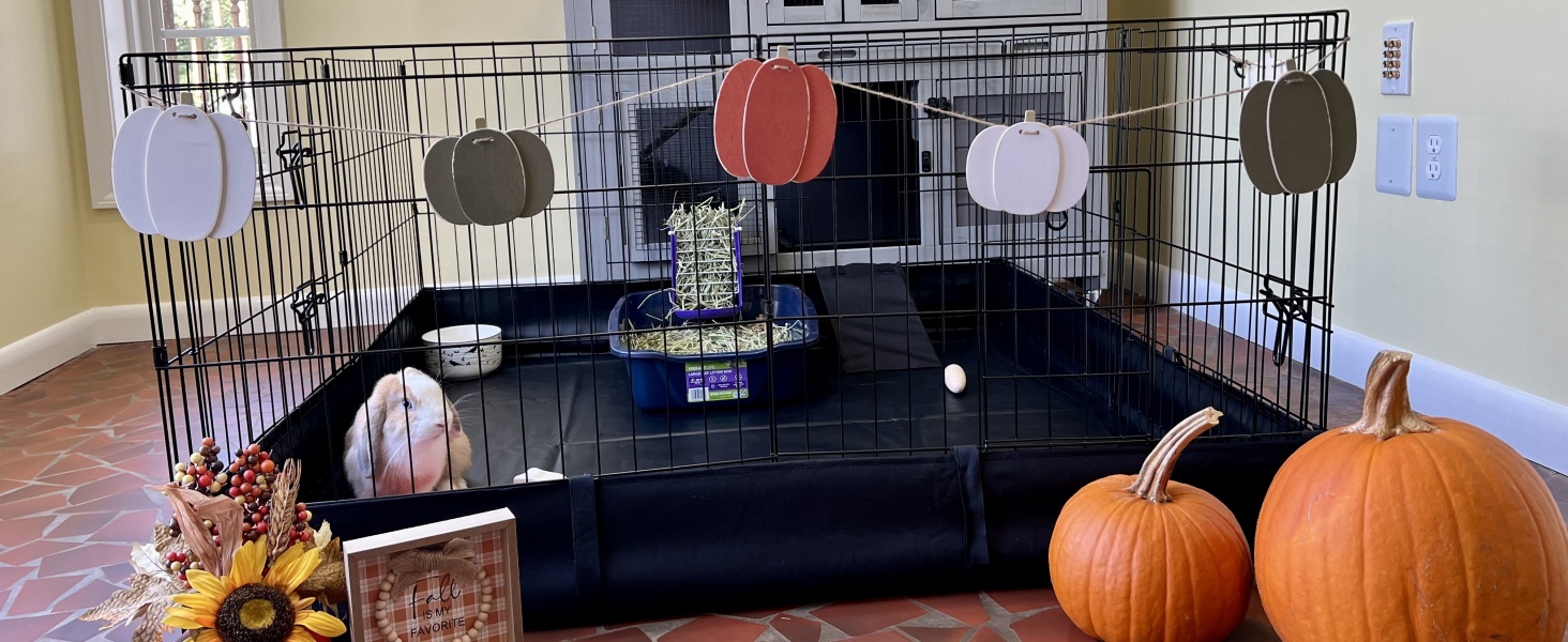Rabbit Playpen