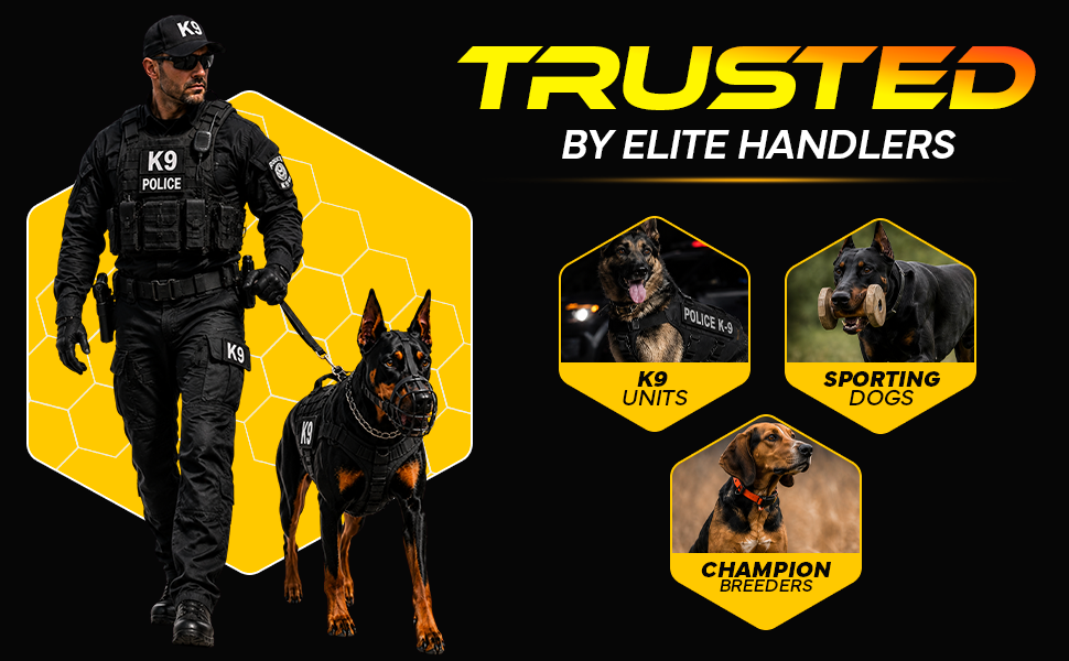 Canine nutrition para fuerza, recuperación y overall health