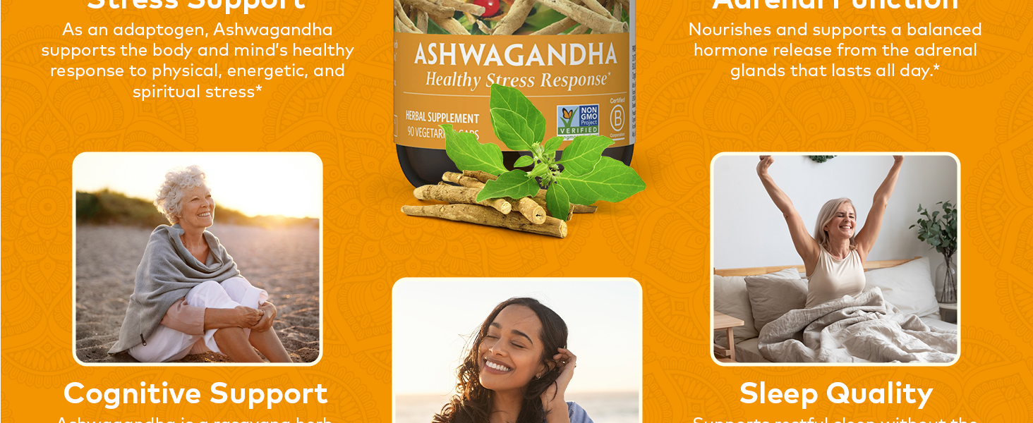 daily support, stress relief, tulsi, capsules, organic, health,