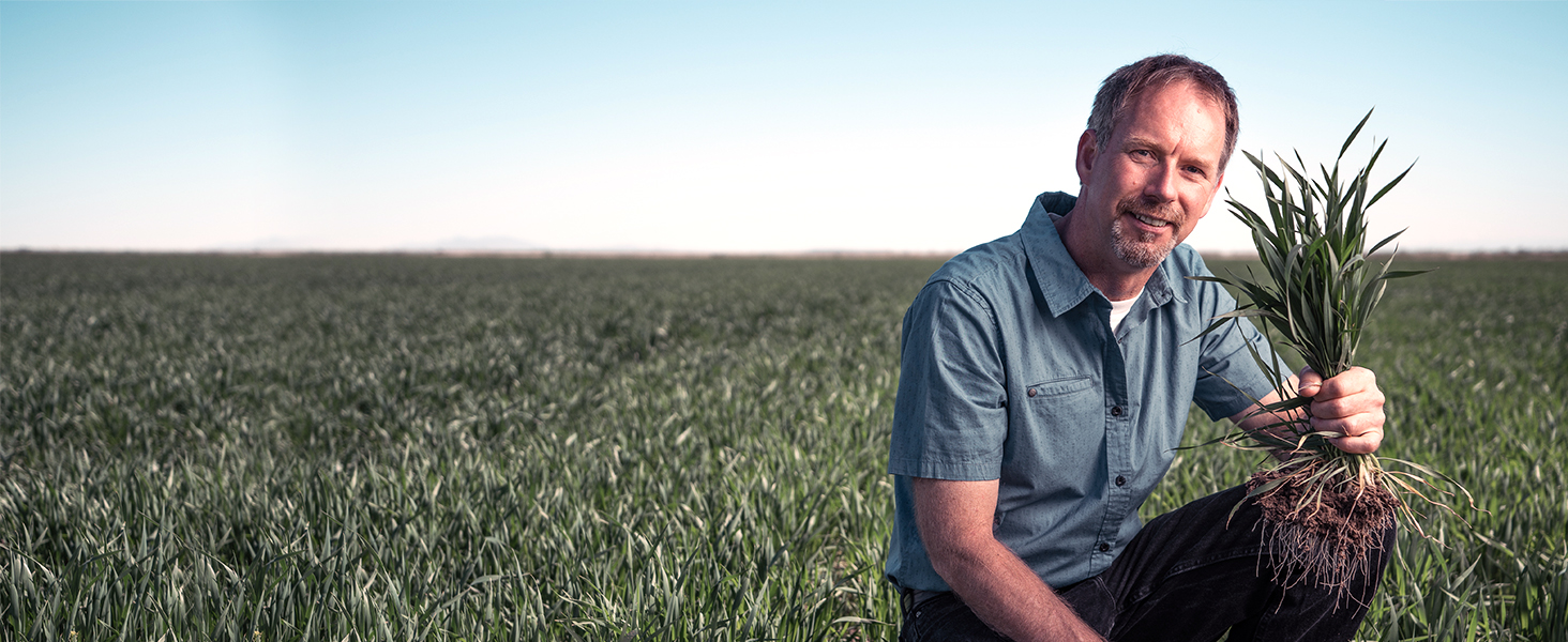 Middle aged man kneeling in a field holding a bunch of plants by the stalks.