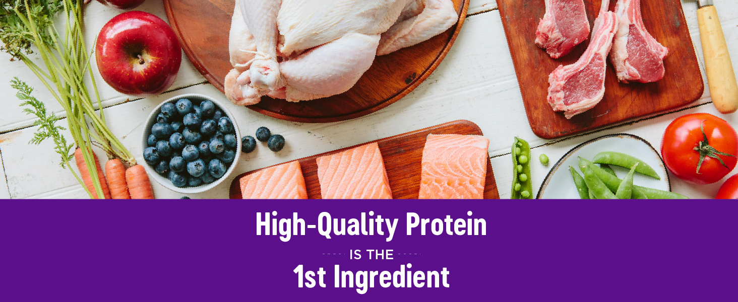 High-Quality Protein is the 1st Ingredient
