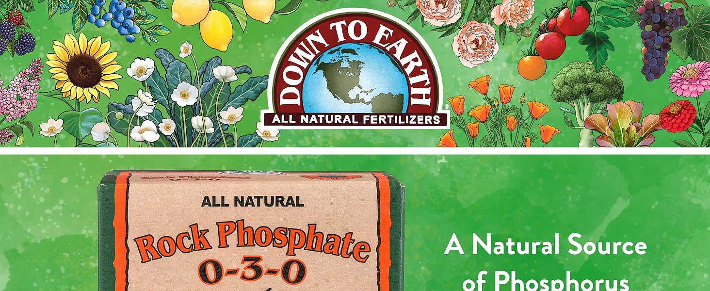 Rock Phosphate 1