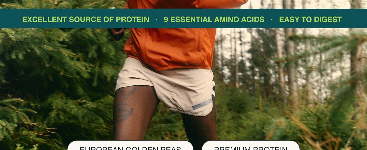 Nuzest Clean Lean Protein