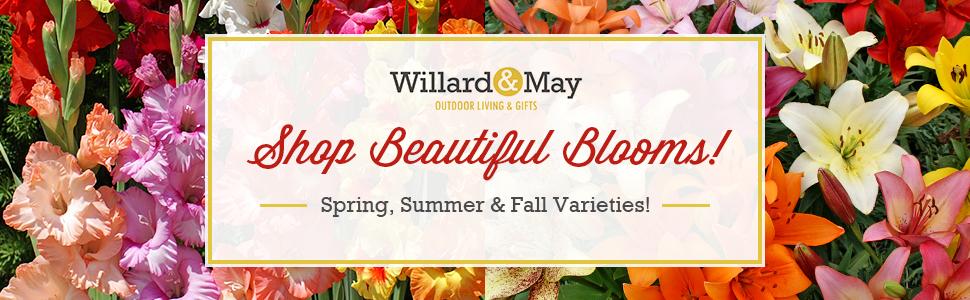 Willard &amp;amp;amp;amp;amp;amp; May