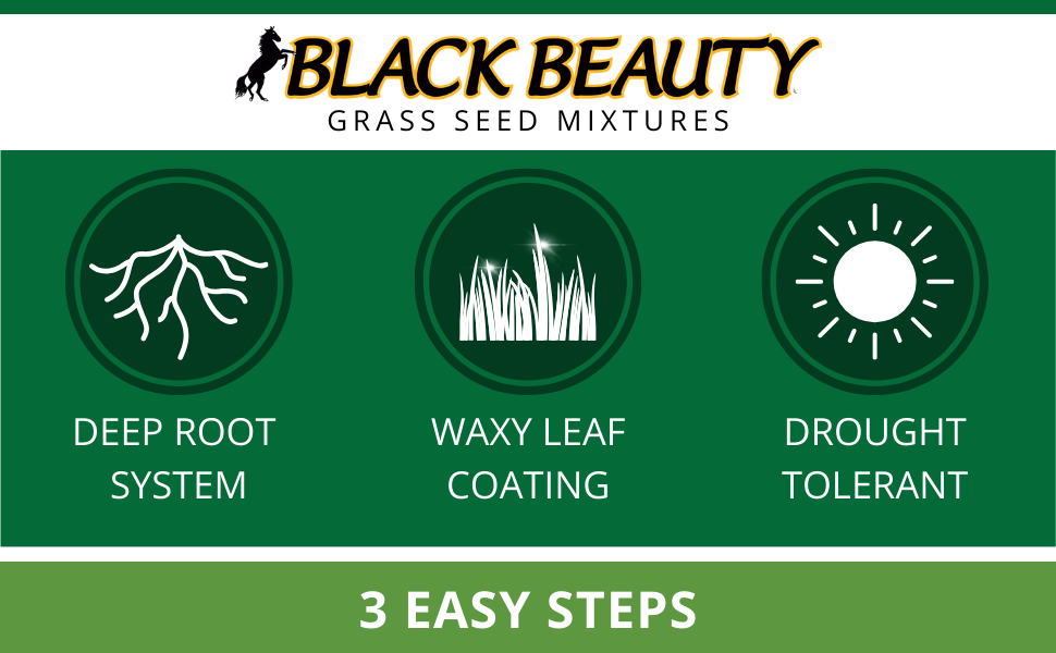 jonathan green black beauty grass seed lawn care