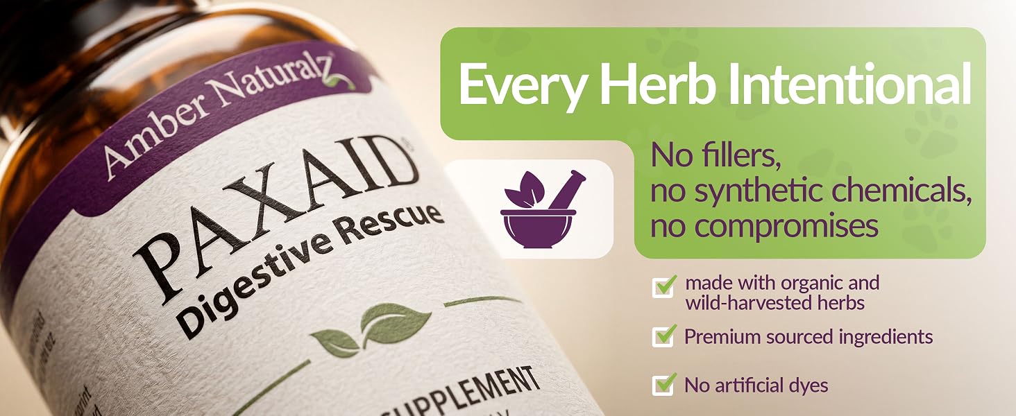 Amber NaturalZ Paxaid Dog Digestive Rescue