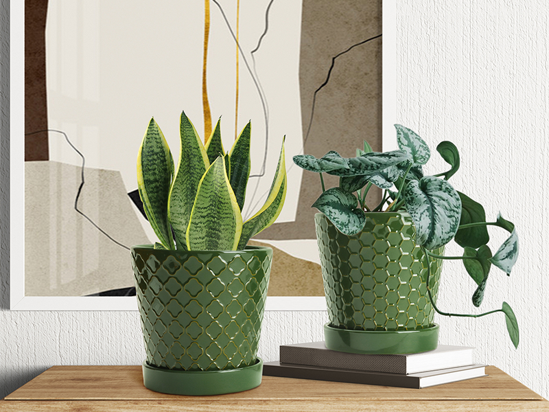plant pot