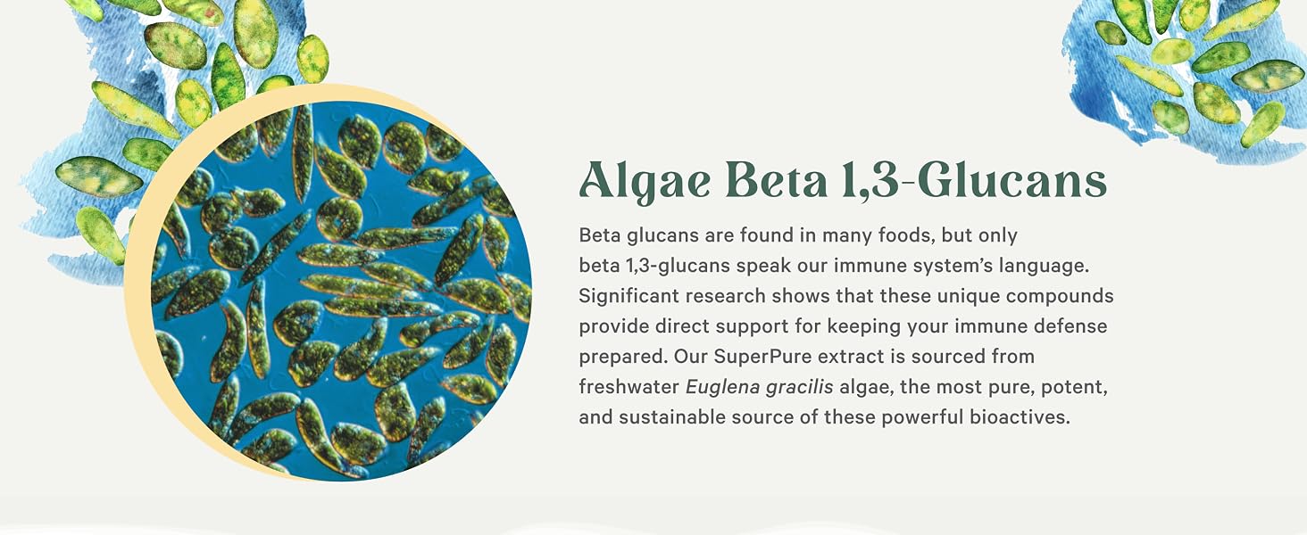 Unique Beta 1,3-glucans hold powerful support for keeping your immune defense prepared