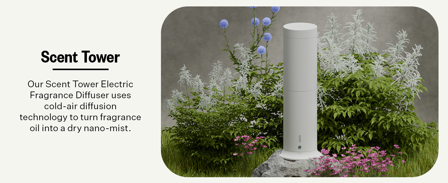 Overnight Car Berry Lily Relax Products Collection Calming Homes Mom Diffuser Designer Spring Air