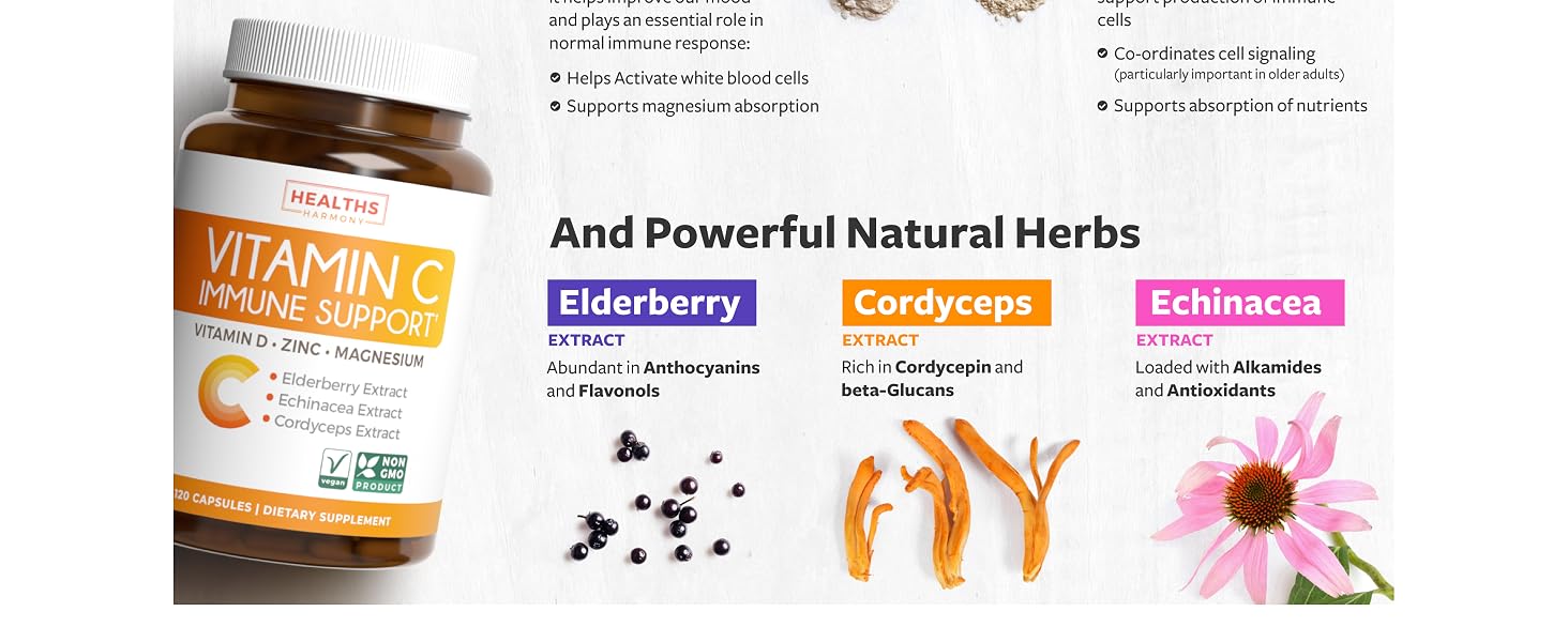 elderberry extract cordyceps extract and echinacea extract
