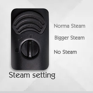 Steam Settings