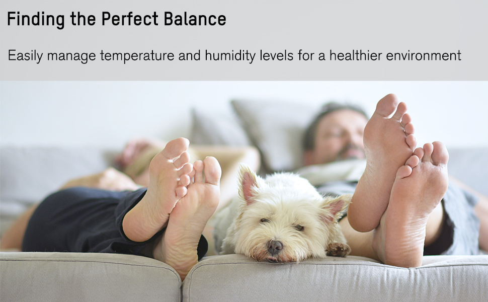 Healthy Home Environment