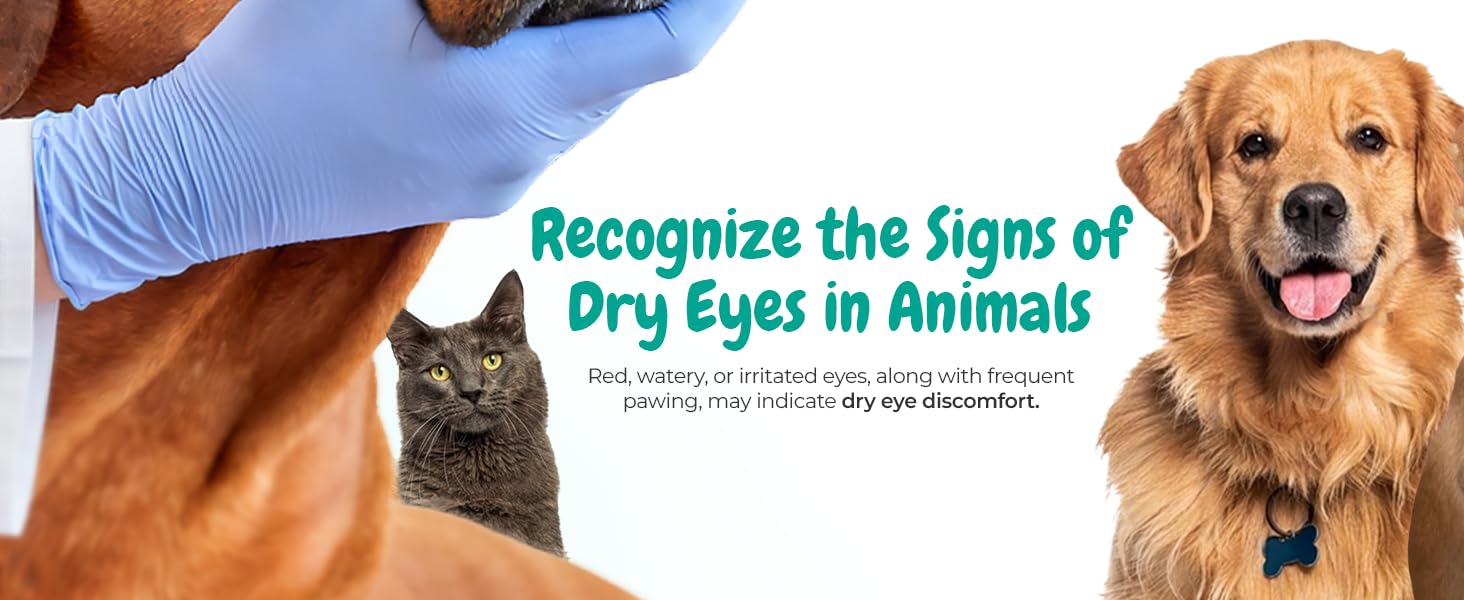i-drops for dogs