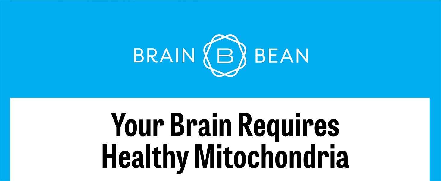 Your Brain Requires Healthy Mitochondria