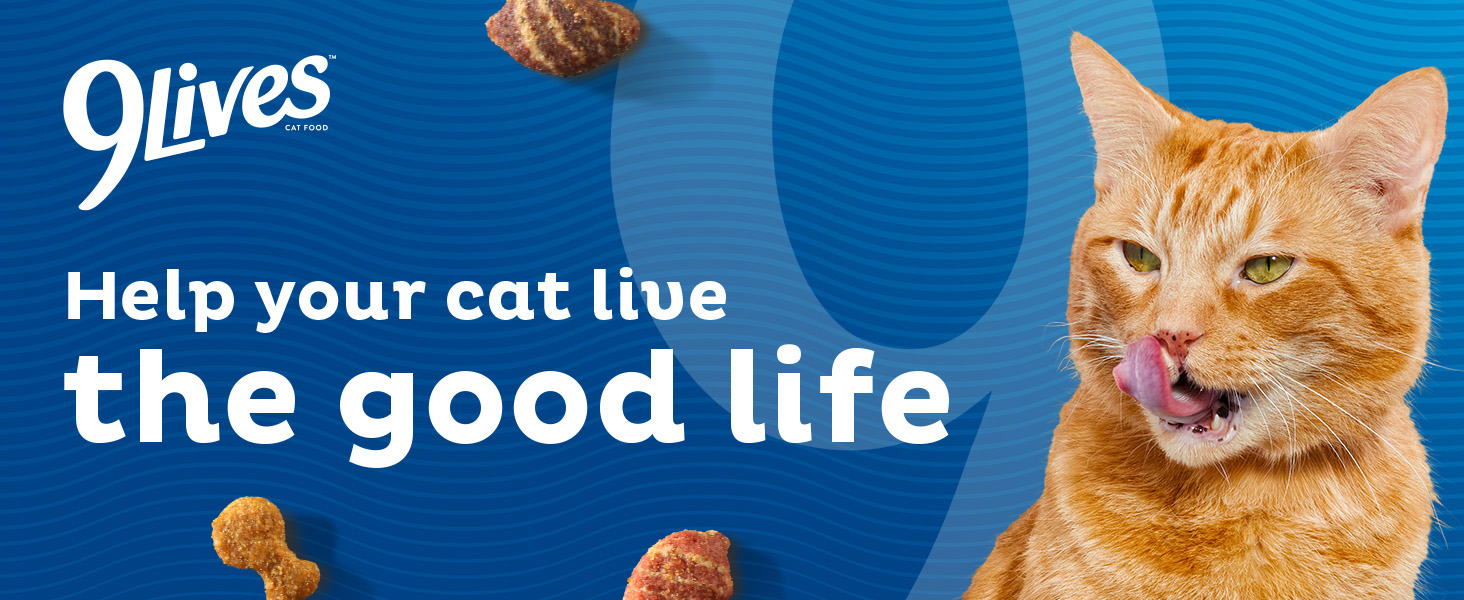 9Lives Cat Food help your cat live the good life