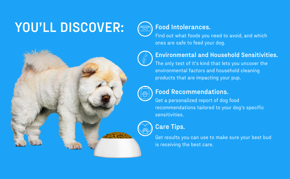 Canine allergy test