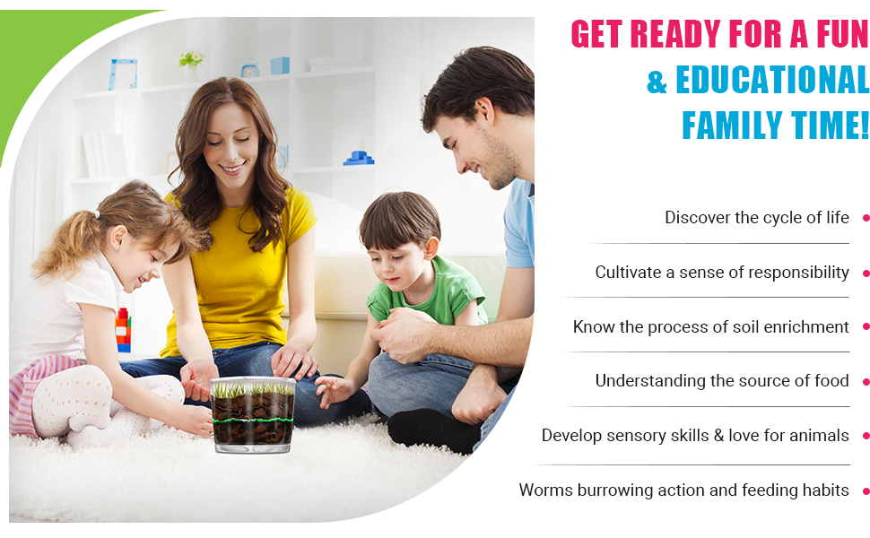 educational family time, worm life cycle