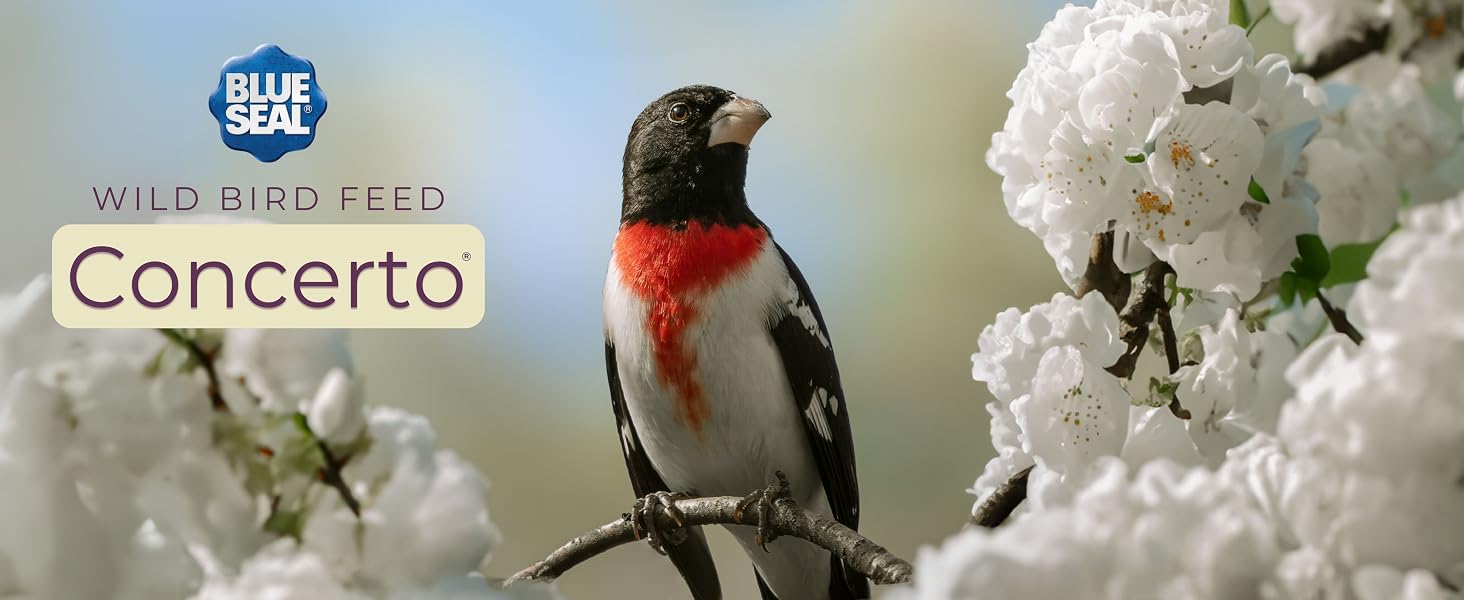 exceptional winter feed; high energy ingredients to help birds thrive in cold weather