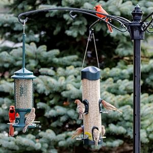 PLACING FEEDER
