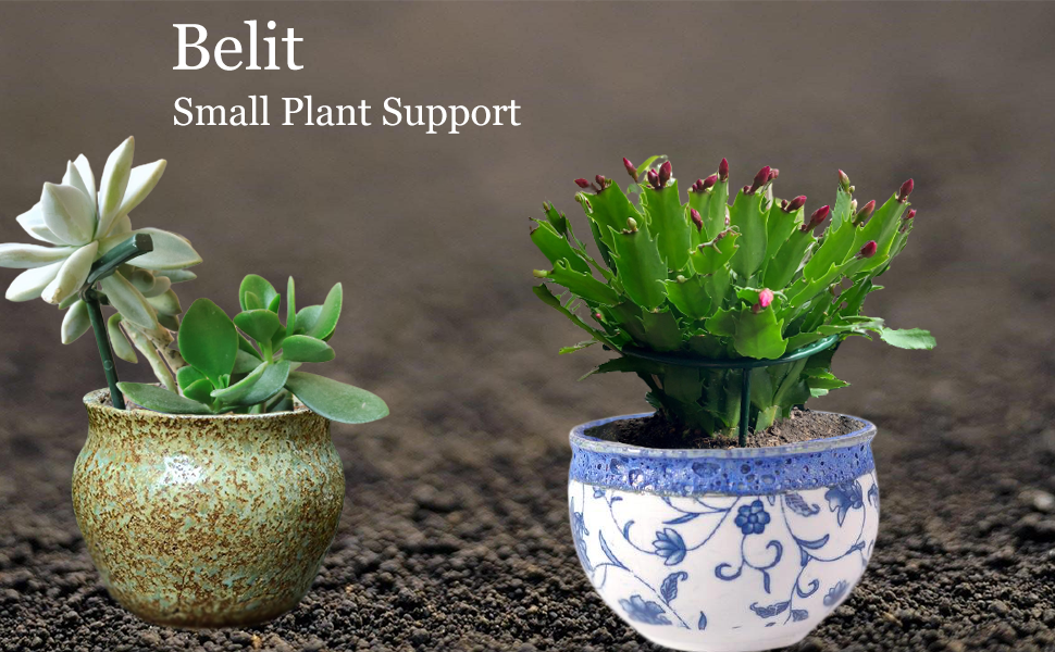 plant support plant stakes small plant support