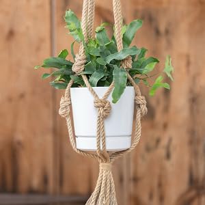 White full depth cylinder pot in a macrame plant hanger