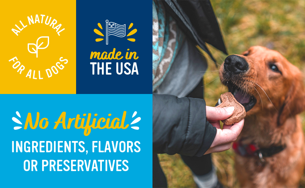 dog treats, healthy dog treats, low calorie dog treats, dog cookies, dog biscuits, dog training