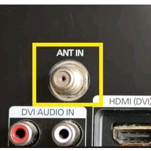 ANT IN