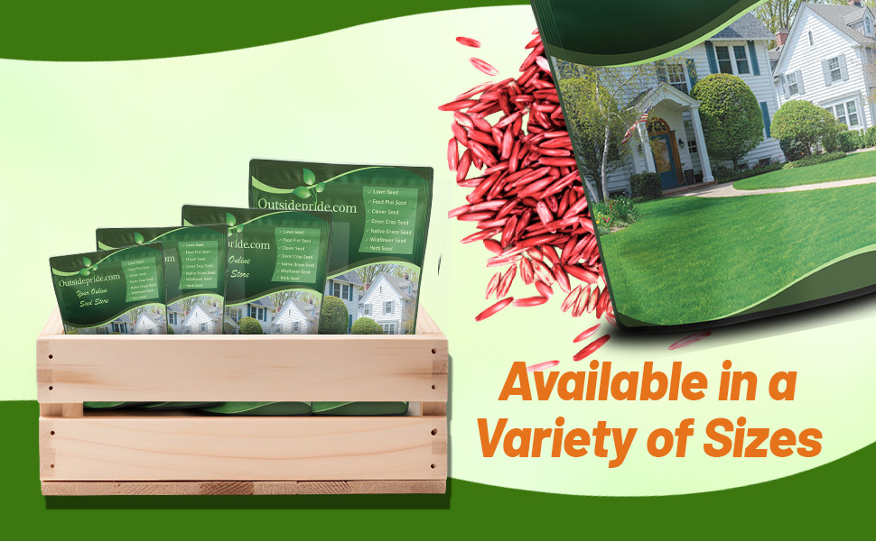 Fireball &amp;amp; Hatrick Perennial Rye Grass Seed Blend For Lawns, Sports Fields, Parks