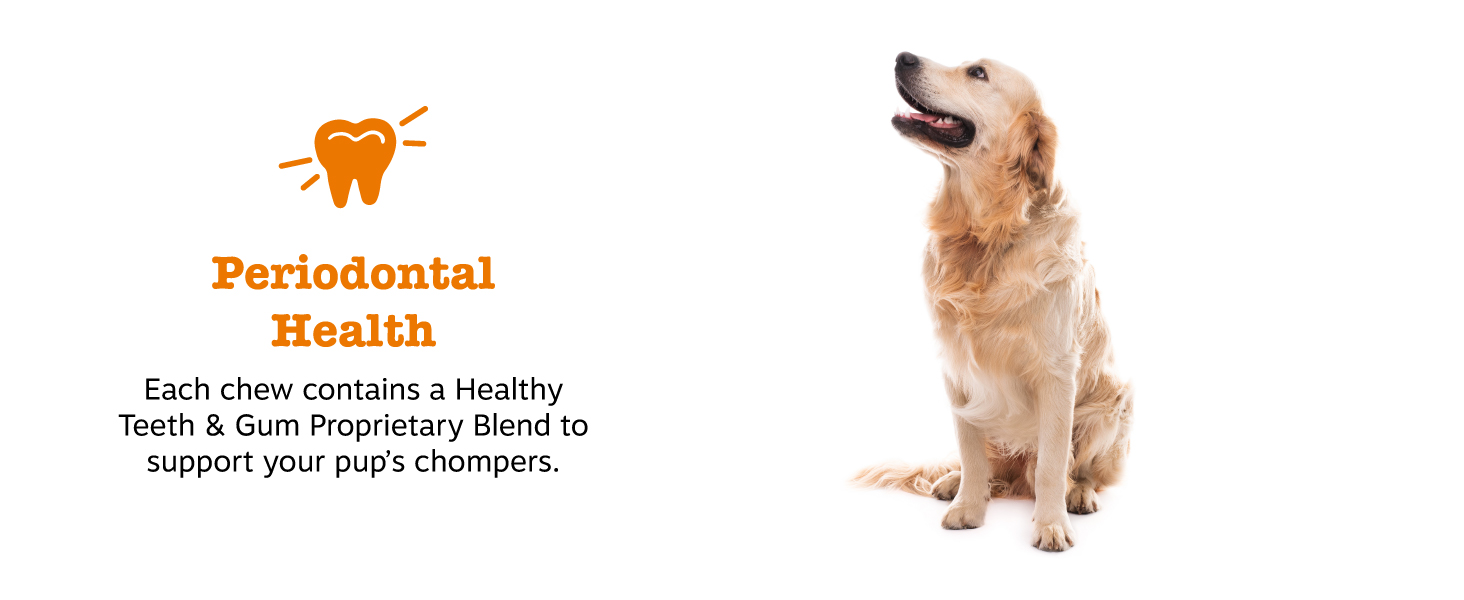 Periodontal Health