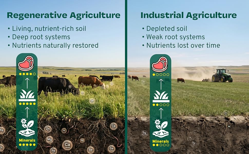 regenerative agriculture