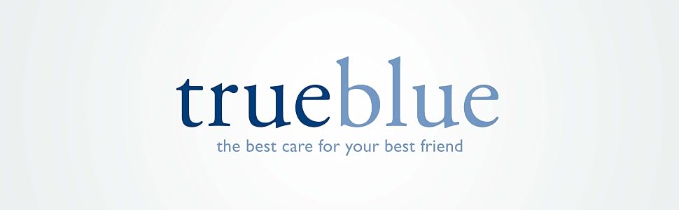 TrueBlue Logo