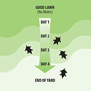 mole and gopher repellent