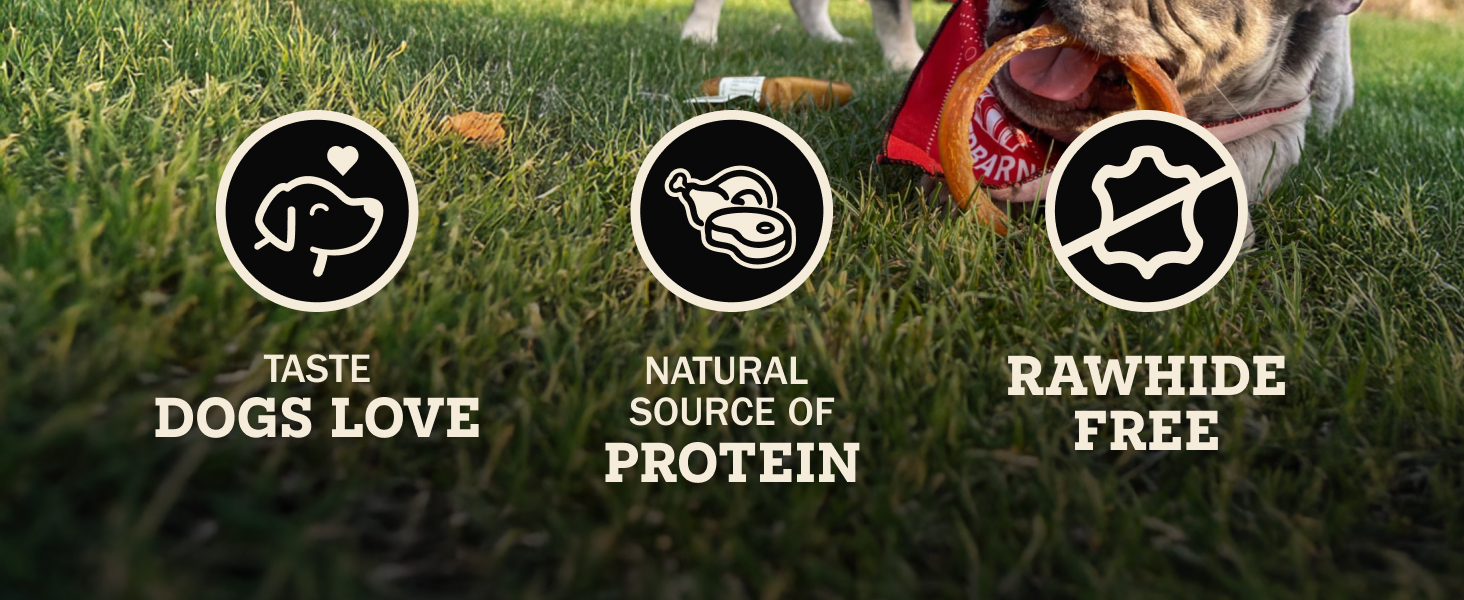 pure natural dog treat source of protein rawhide free chew
