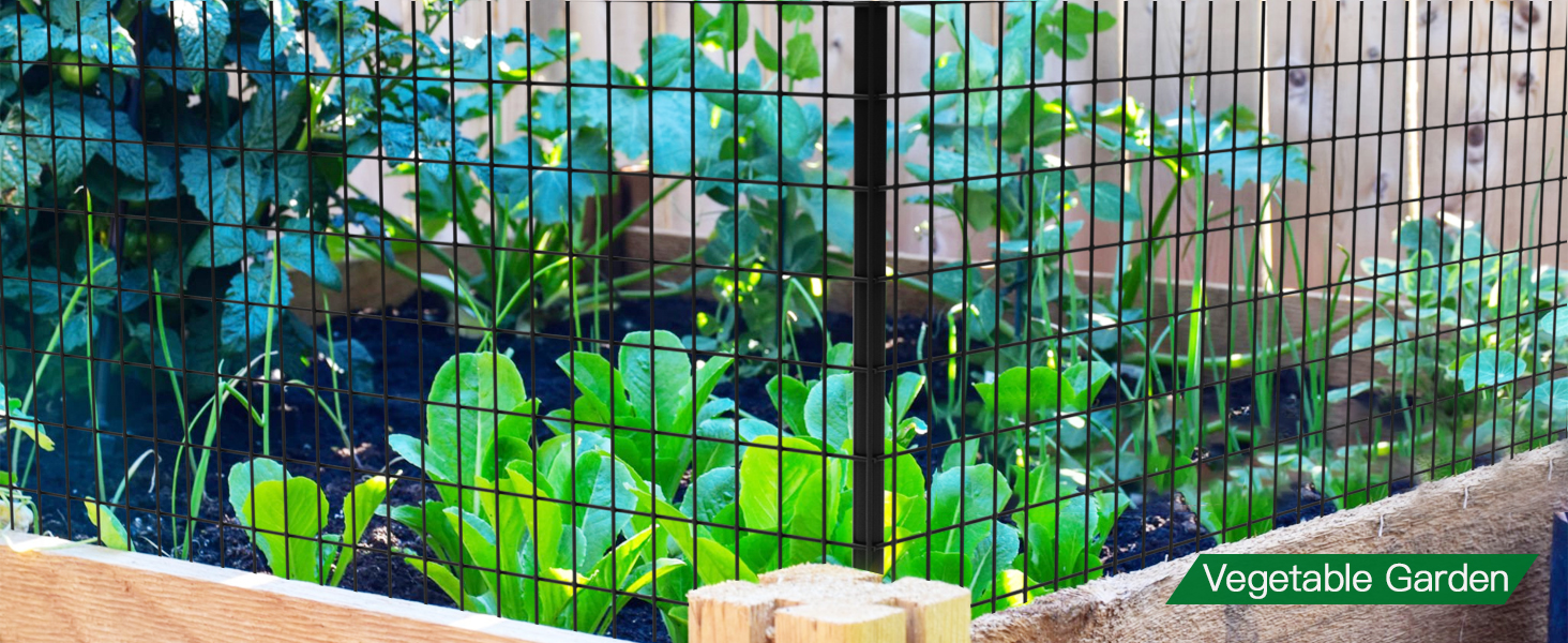 wire fence