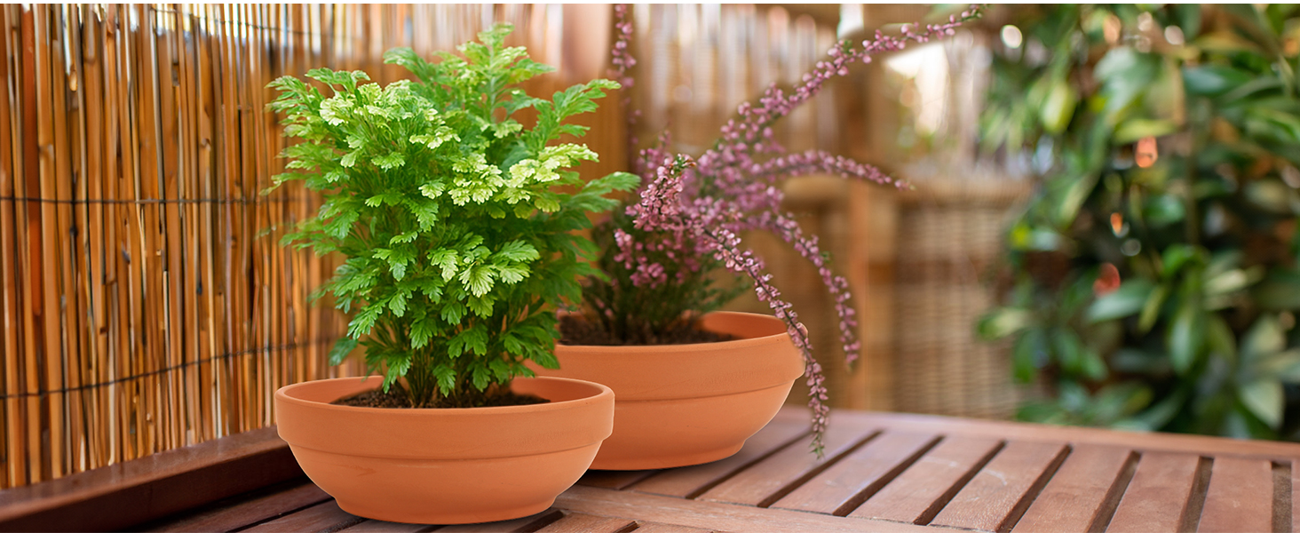 terra cotta pots