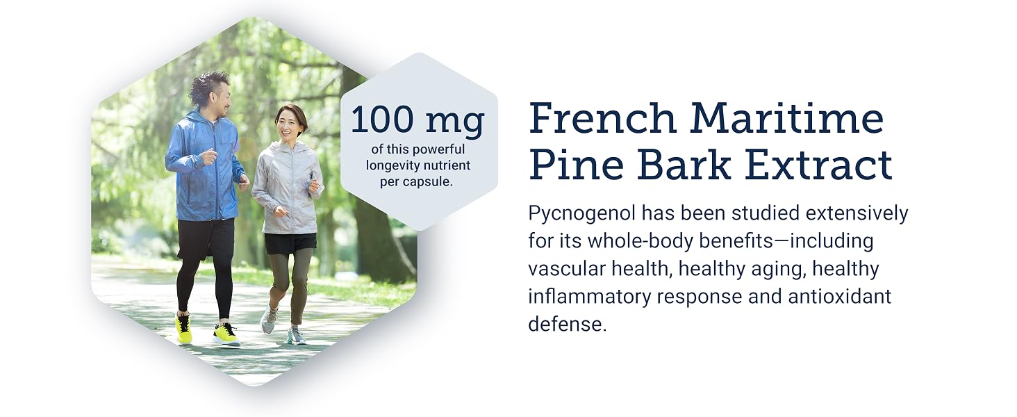 pygnogenol 100mg picnogenol pyconogel supplements