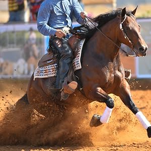 REINING