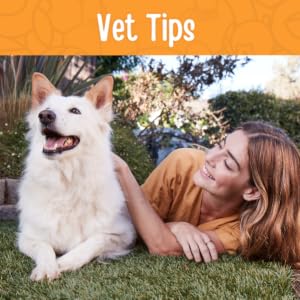 vet tips