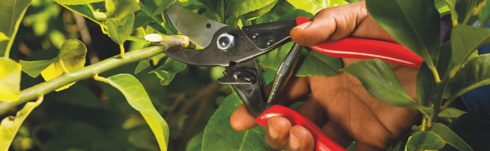 hand pruning felco replacement telco spring fiskars pruner cuchilla tree blade handheld springs