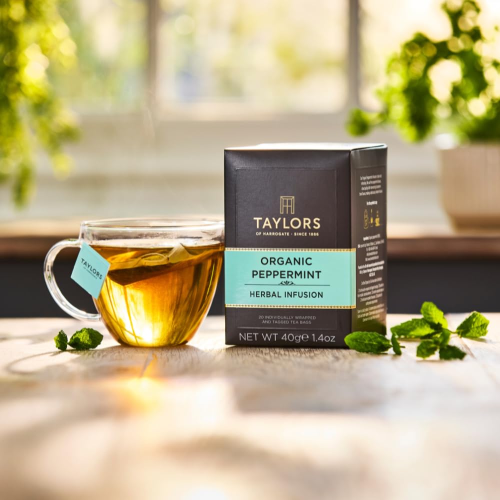 Taylors of Harrogate Green Tea with Lemon, Individually Wrapped Bags, 20 Count (Pack of 1), Citrussy, Mellow and Light, Caffeinated, Enjoy Hot or Iced, 20 Teabags