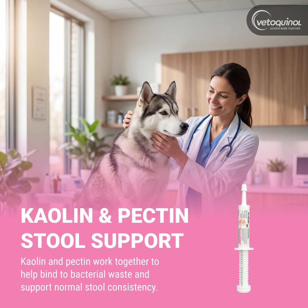 Vetoquinol Pro-Pectalin Oral Paste for Dogs & Cats – Chicken Flavor – Helps Reduce Occasional Loose Stool & Diarrhea, Balance Gut pH, Support Normal Digestion & Intestinal Flora - 30 cc