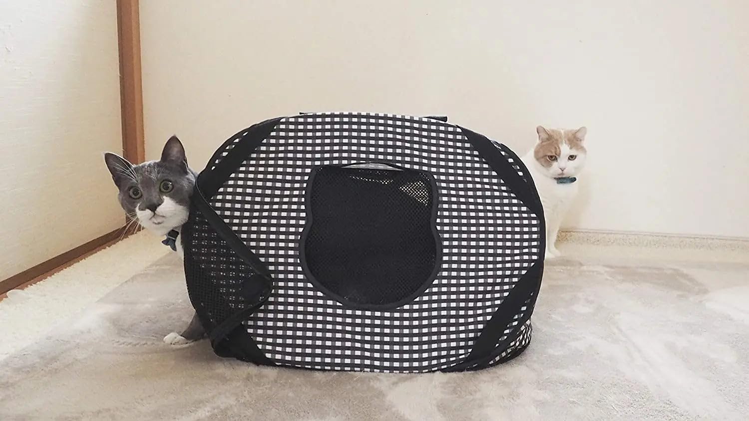 Necoichi Stress-Free Cat Travel Carrier Collapsible Gray White for 2 Cats, for Indoor Cats Small Medium Large Cats(Black)