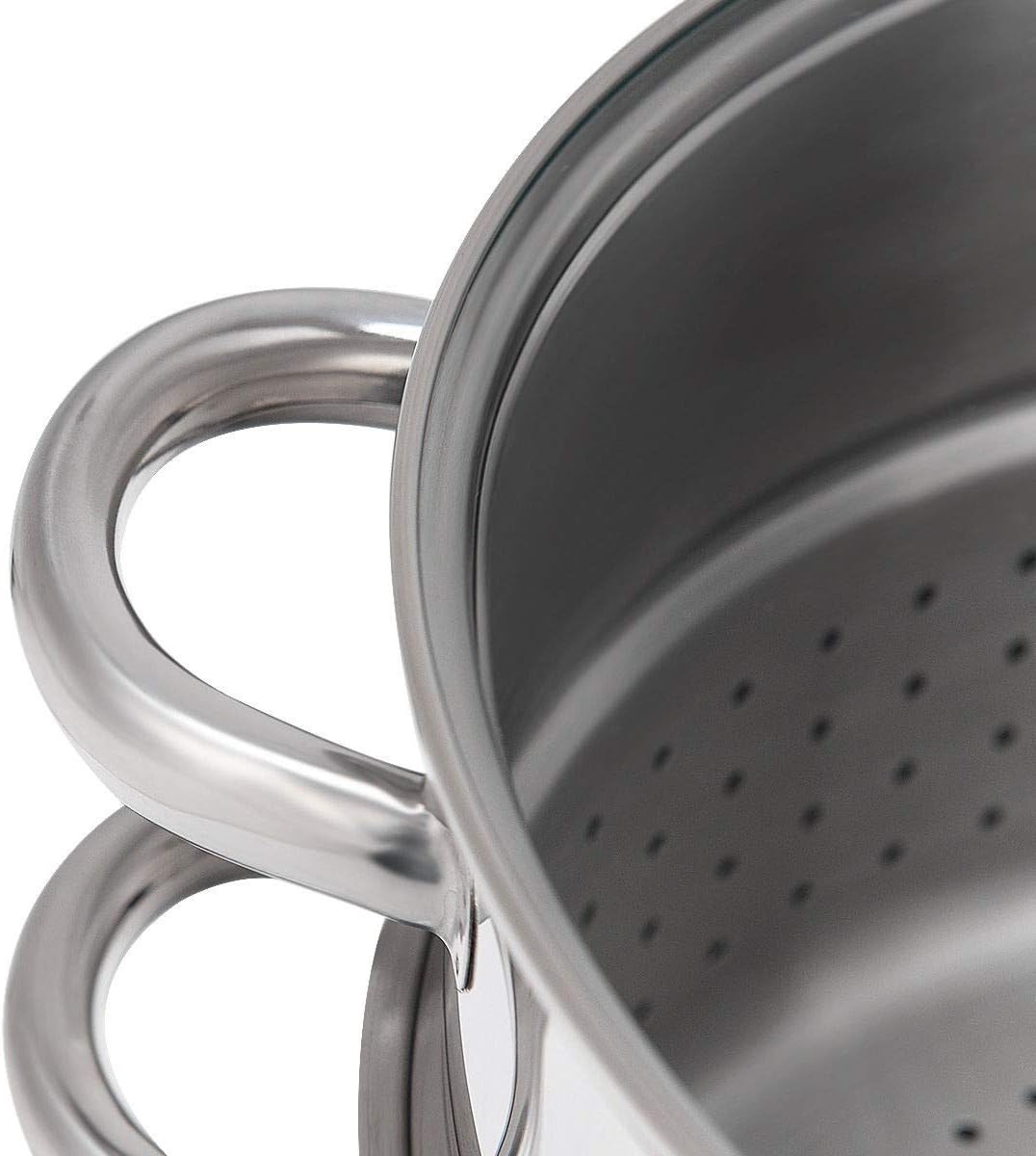 WATERJOY 11 Qt Steamer Jucicer, Stainless Steel canner cookware For Food Vegetables Fruit