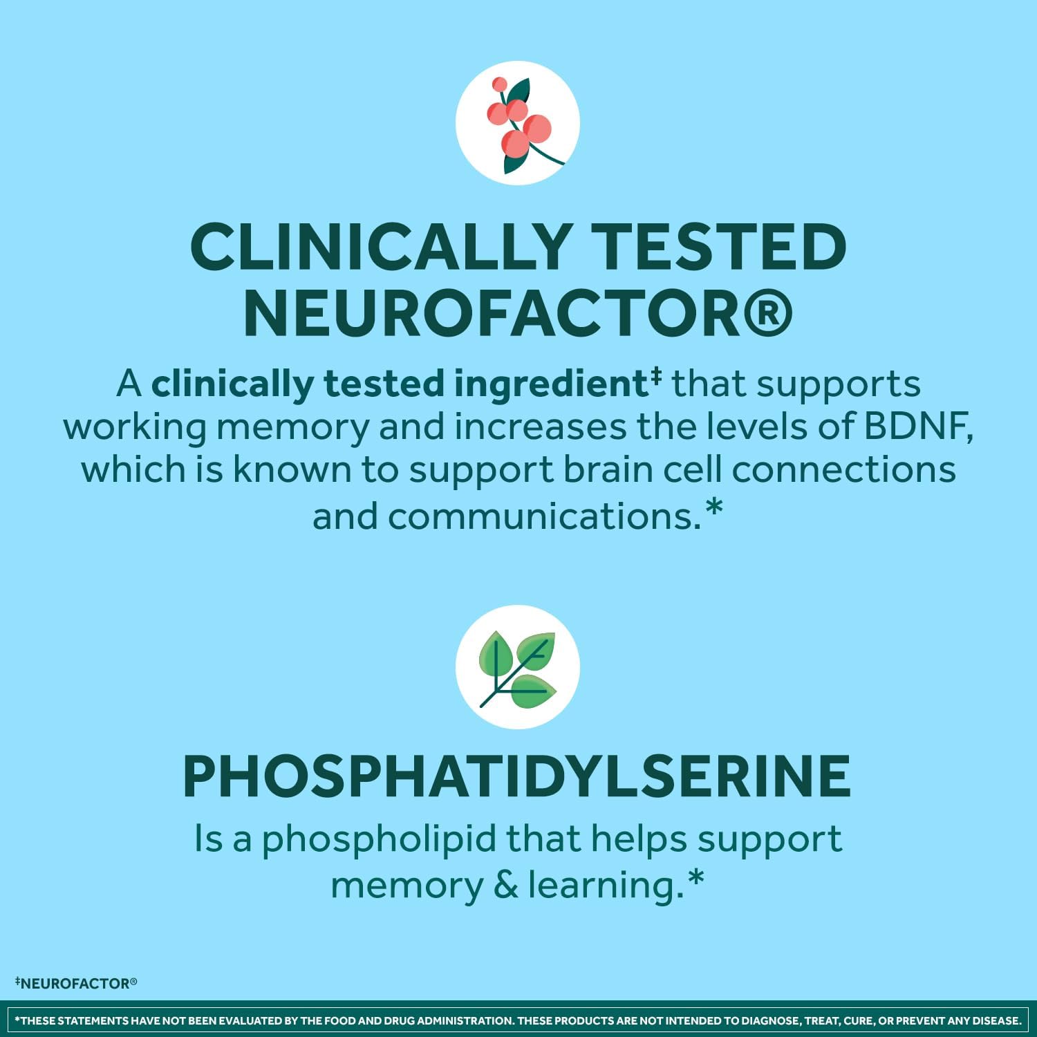 NEURIVA Plus Brain Supplements for Memory and Focus, Clinically Tested Nootropics Neurofactor and Phosphatidylserine with Vitamin B12, Vitamin B6