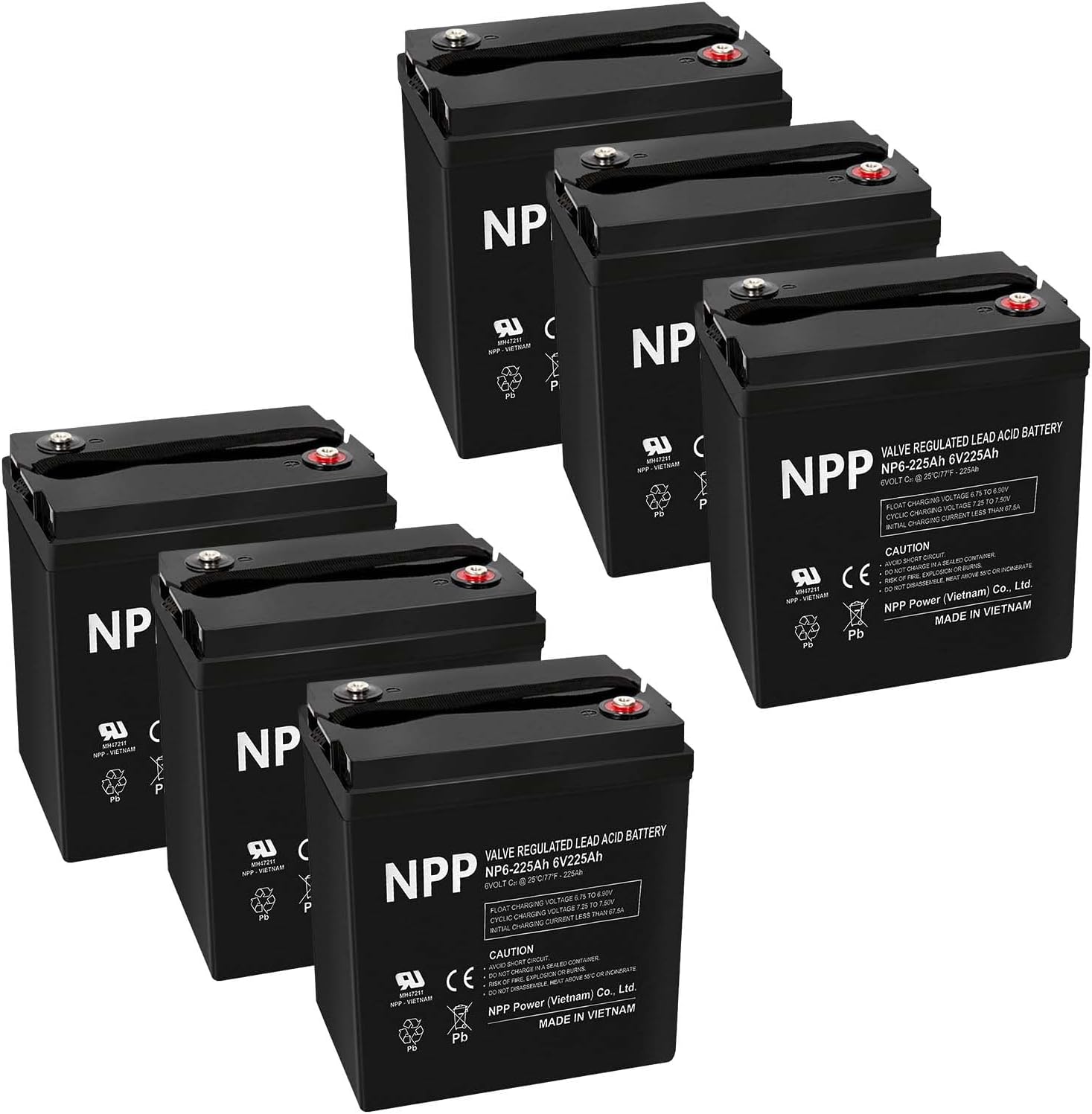 NPP 6V 225Ah AGM SLA Battery with T16 (M8) Terminal for Golf Cart (2 Pcs)