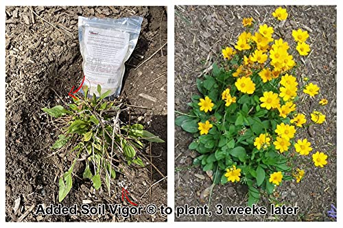 5 Pounds Soilmoisture Trap Super Absorbent Hydro Gel Granules Polymer with Humic Acid; Soil Vigor (Tm)