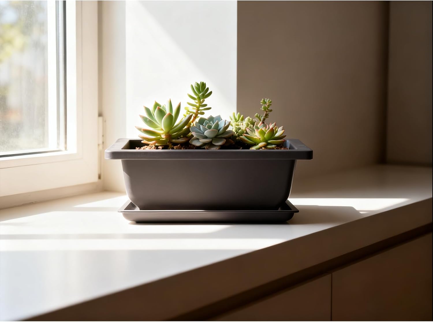 15 PCS 6.5 Inch Bonsai Training Pots with Trays, Rectangular Plastic Growing Pots, Flower Succulent Pots Container for Garden, Yard, Office, Porch
