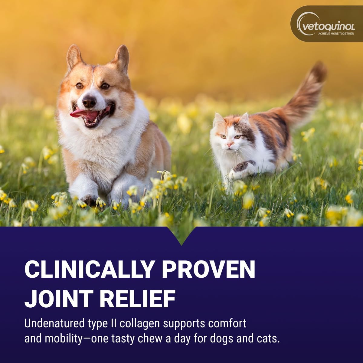 Vetoquinol Flexadin Advanced Hip and Joint Supplement with Undenatured Collagen for Dogs, One Chew a Day Hip and Joint Support Chew for Dogs and Cats, Clinically Proven Vet-Approved Formula, 60 Chews